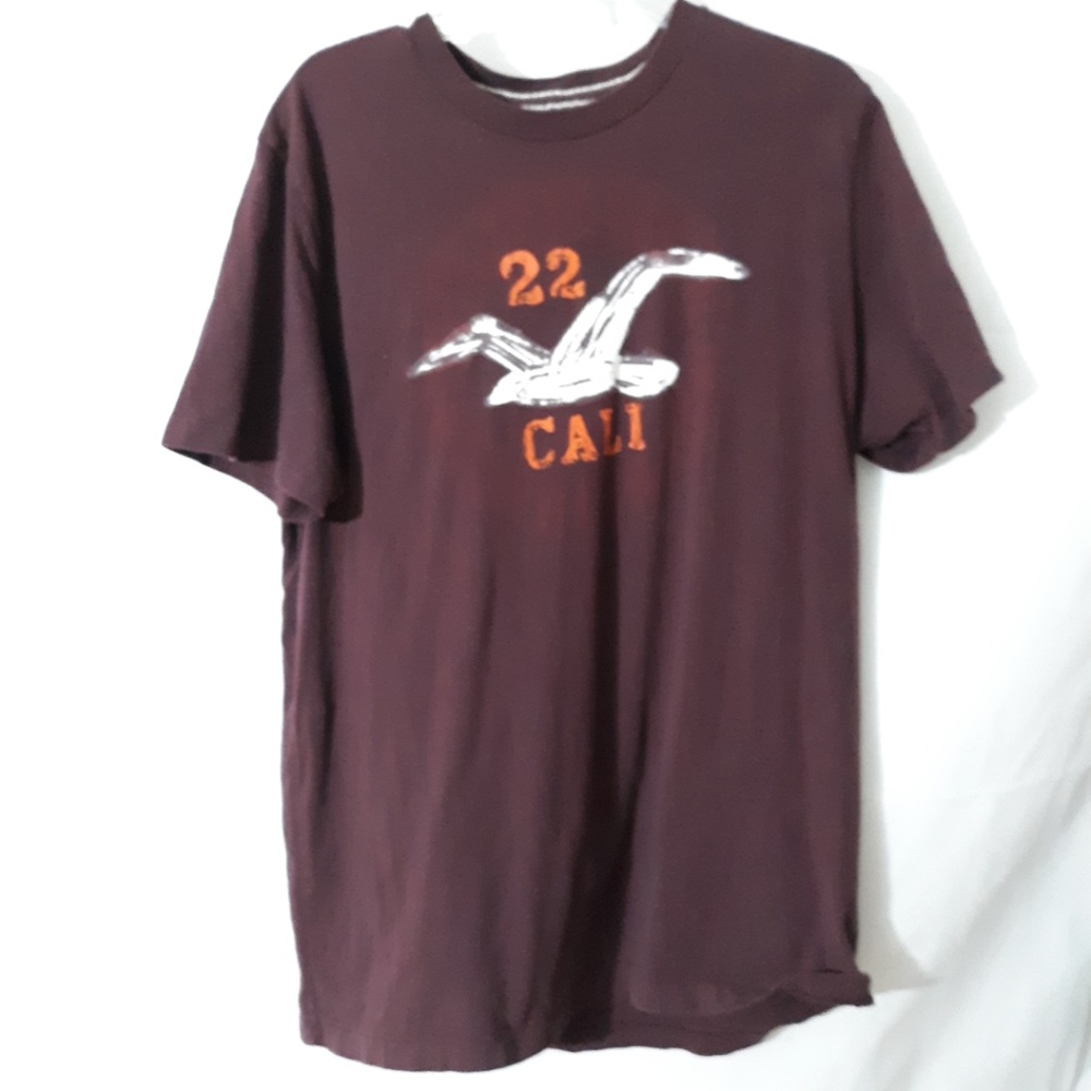 Mens Hollister tee brown XL